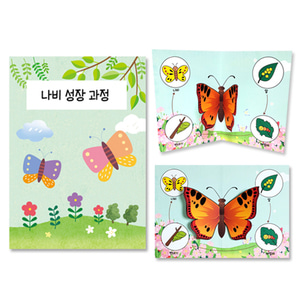 북아트 4월 나비 관찰 팝업북 만들기 돌봄교실